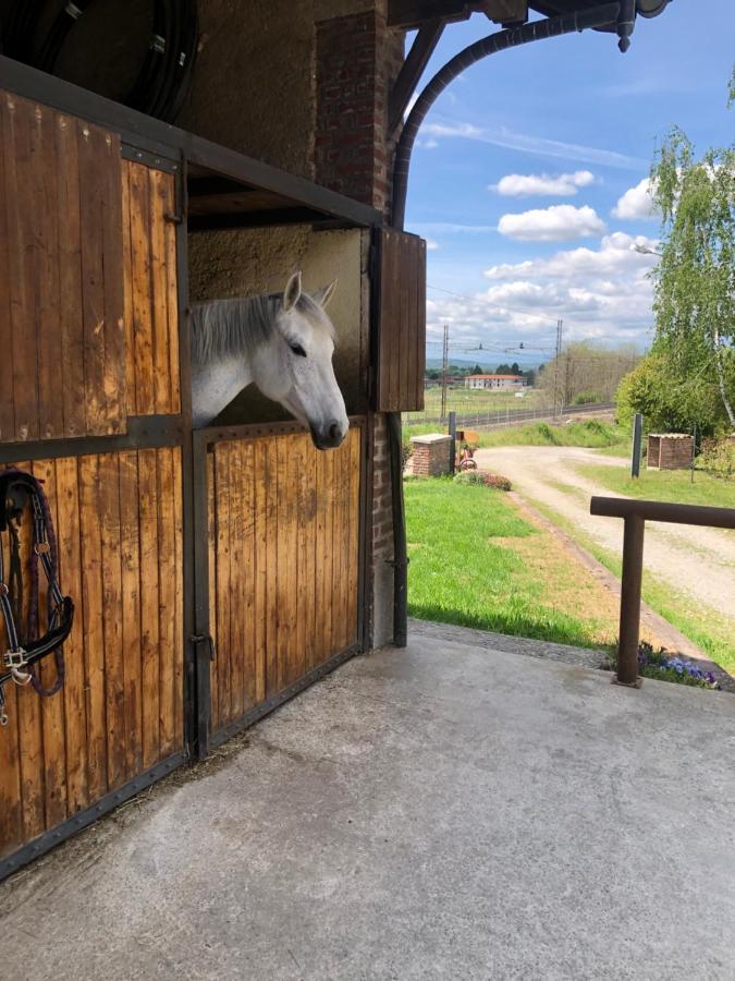 B&B Tenuta Legnate Sesto Calende Extérieur photo
